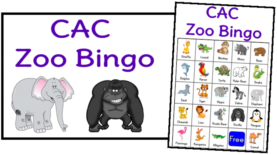 Zoo Bingo